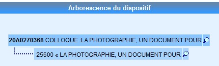 "La photographie, un document pour l'Histoire: former, informer, déformer"